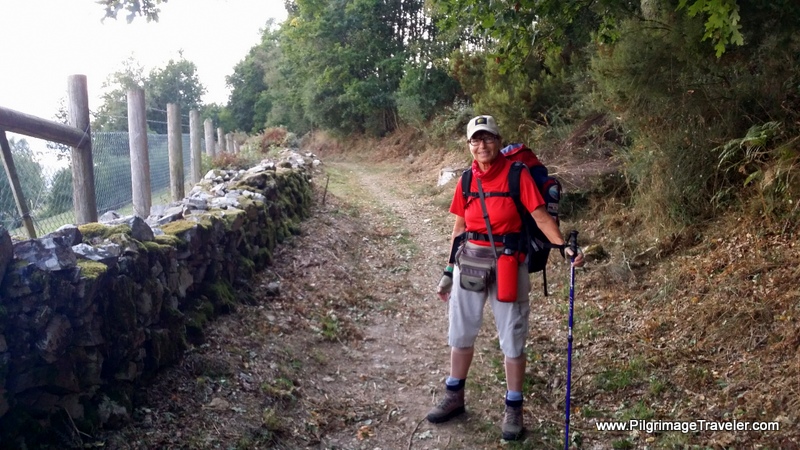 Day Seven on the Camino Primitivo ~ Castro to A Fonsagrada, 20.2 Kms