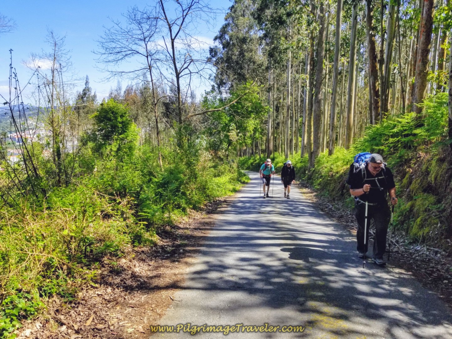 Day Five on the Camino Inglés, Betanzos to Presedo, 11.26 Km (7.06 Mi)