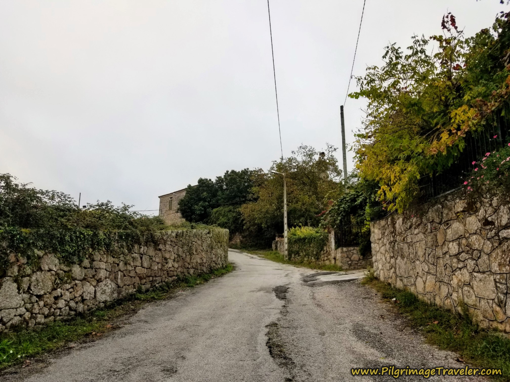 Camino Sanabrés, Ourense to Cea, Day Thirteen, 22.4 Kilometers (14 Mi)