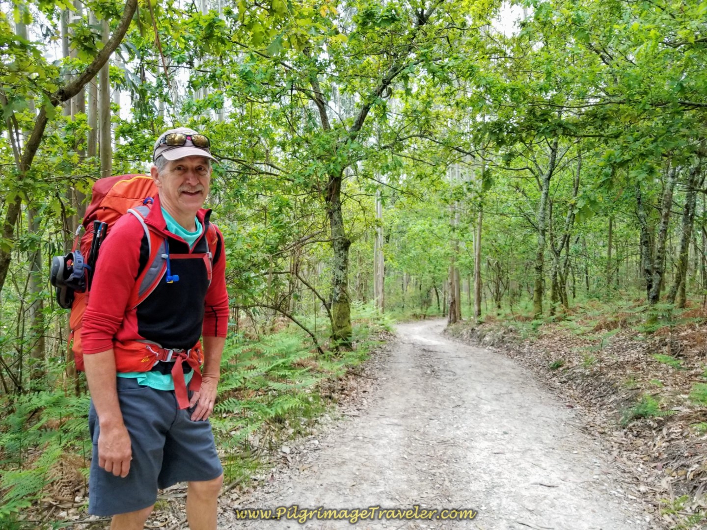 Day One on the Camino Finisterre, Santiago to Negreira, 20.6 Km