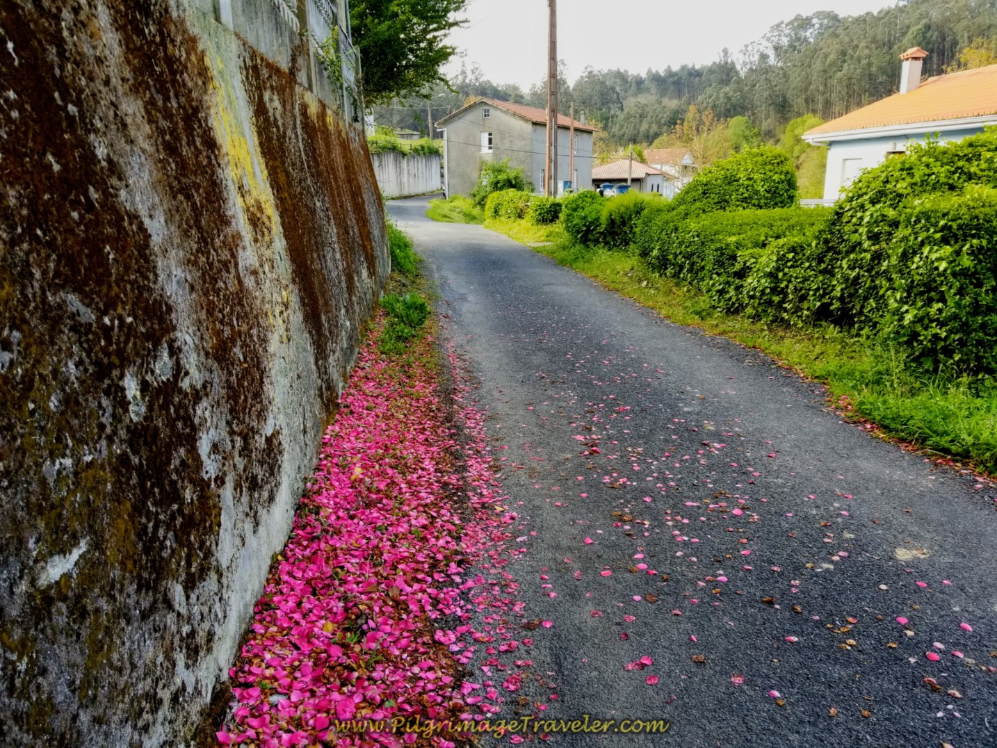 Day Four on the Camino Inglés, Miño to Betanzos, 11.28 Km (7.01 Miles)