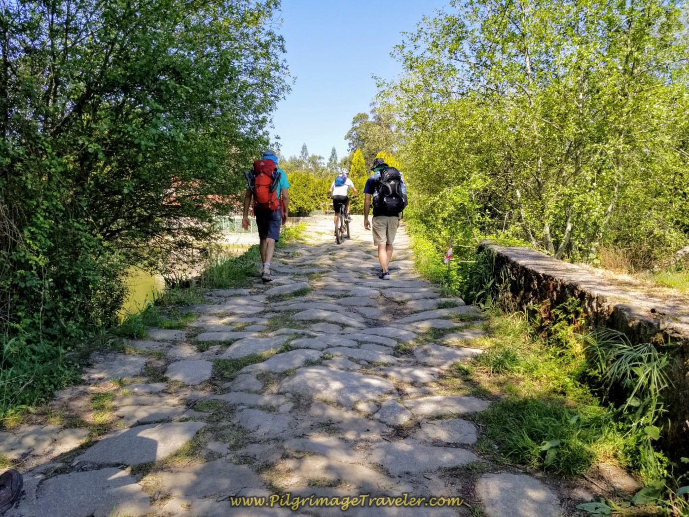 Day Seventeen on the Central Route of the Camino Portugues