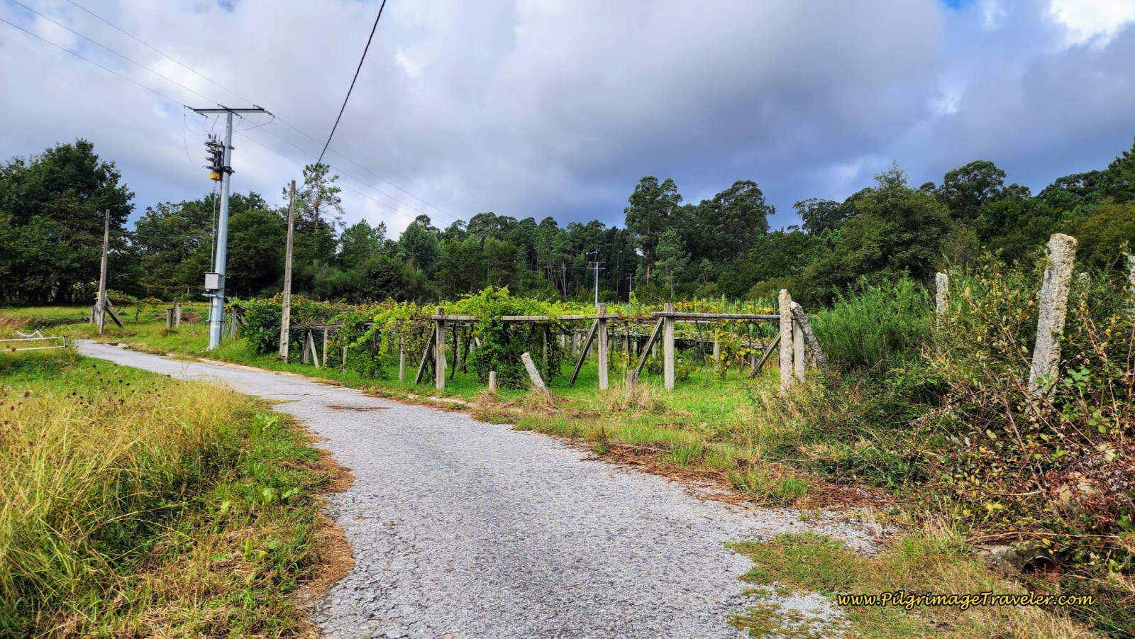 Day One on the Variante Espiritual from Pontevedra to Combarro, 11.3 K