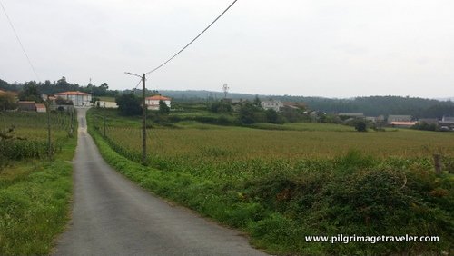 The Camino Finisterre To Muxía Extension 29 Kilometers 2042